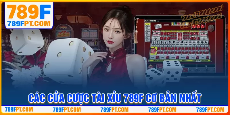 Các cửa cược tài xỉu 789F hấp dẫn tân binh cần biết Các cửa cược tài xỉu 789F hấp dẫn tân binh cần biết