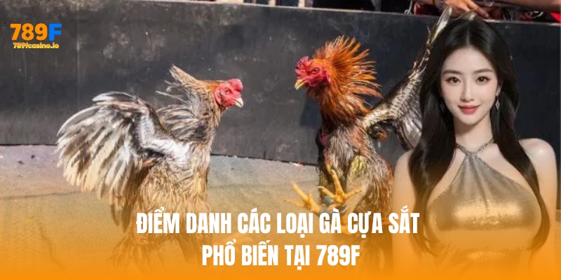 Điểm danh các loại gà cựa sắt phổ biến tại 789F
